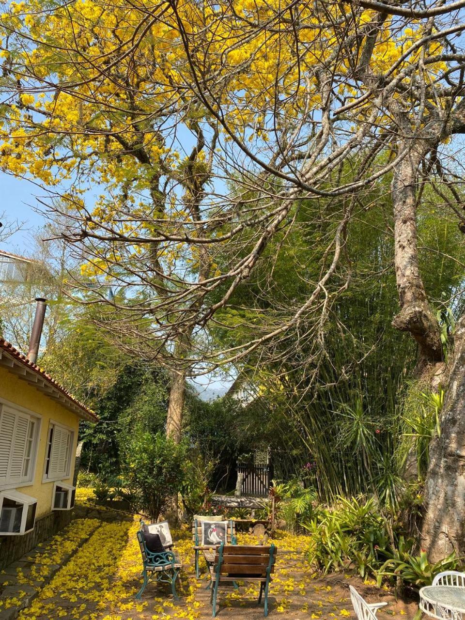 Pousada Casa Do Ipe Amarelo Miguel Pereira Dış mekan fotoğraf