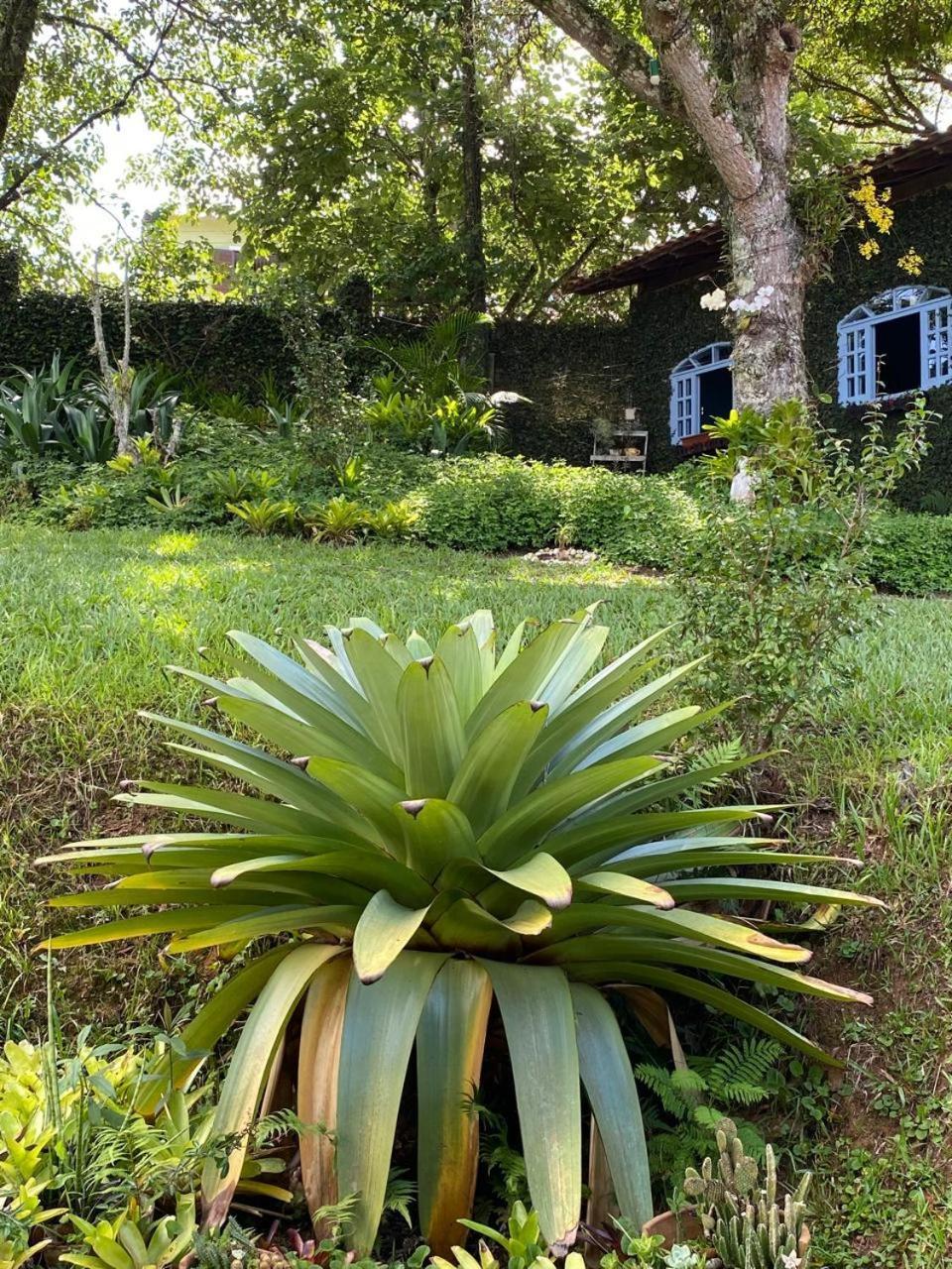 Pousada Casa Do Ipe Amarelo Miguel Pereira Dış mekan fotoğraf