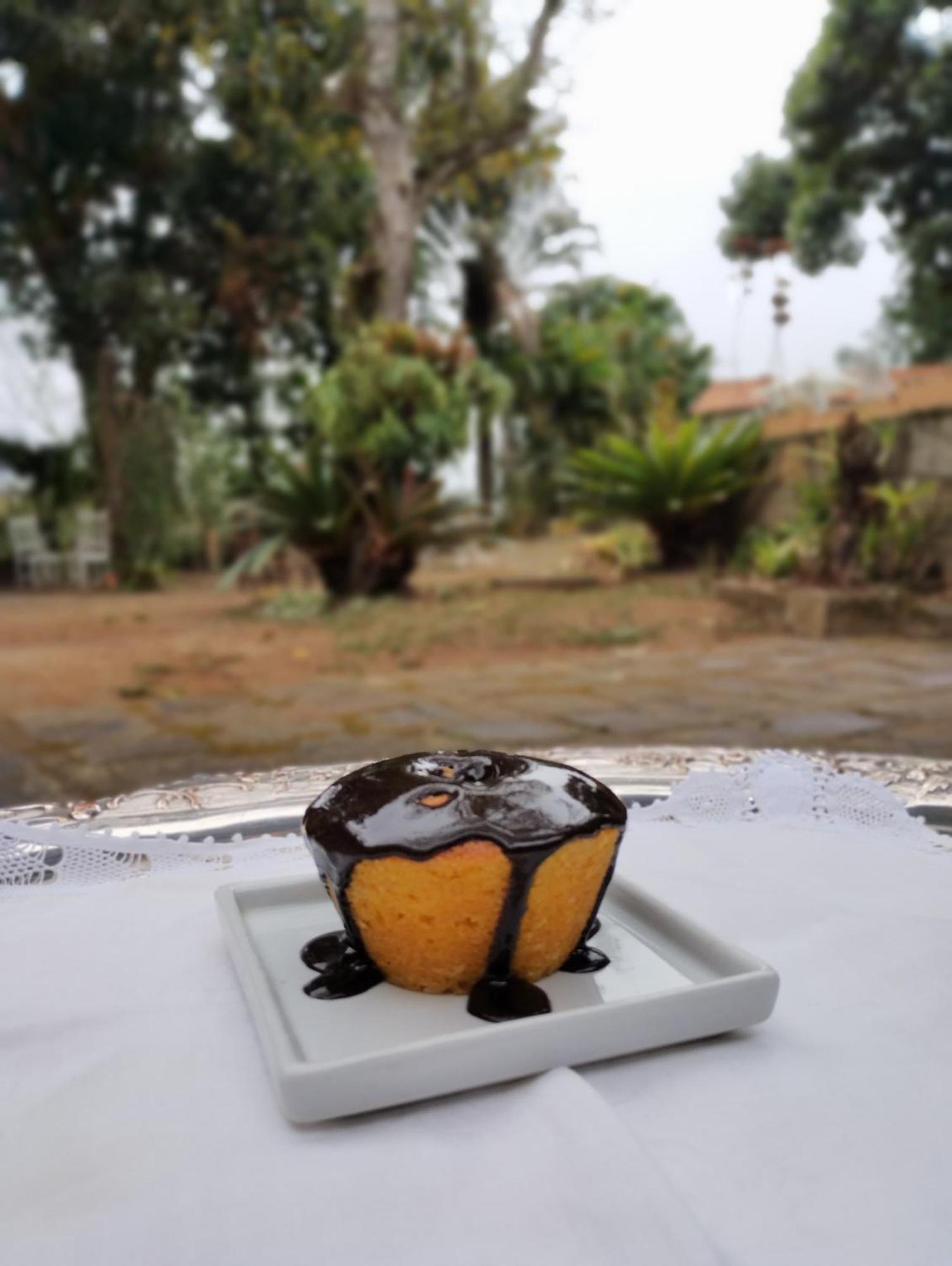 Pousada Casa Do Ipe Amarelo Miguel Pereira Dış mekan fotoğraf