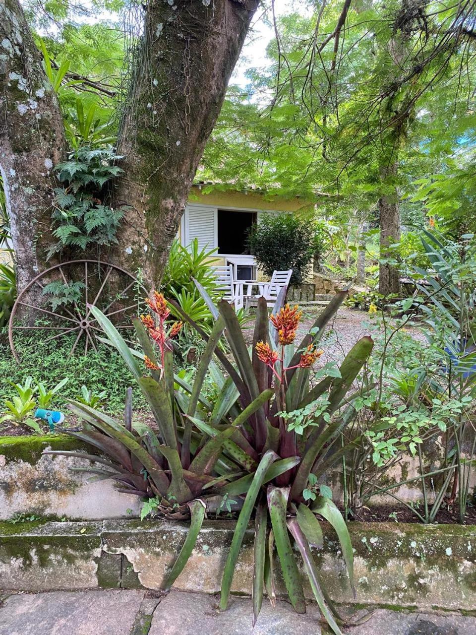 Pousada Casa Do Ipe Amarelo Miguel Pereira Dış mekan fotoğraf