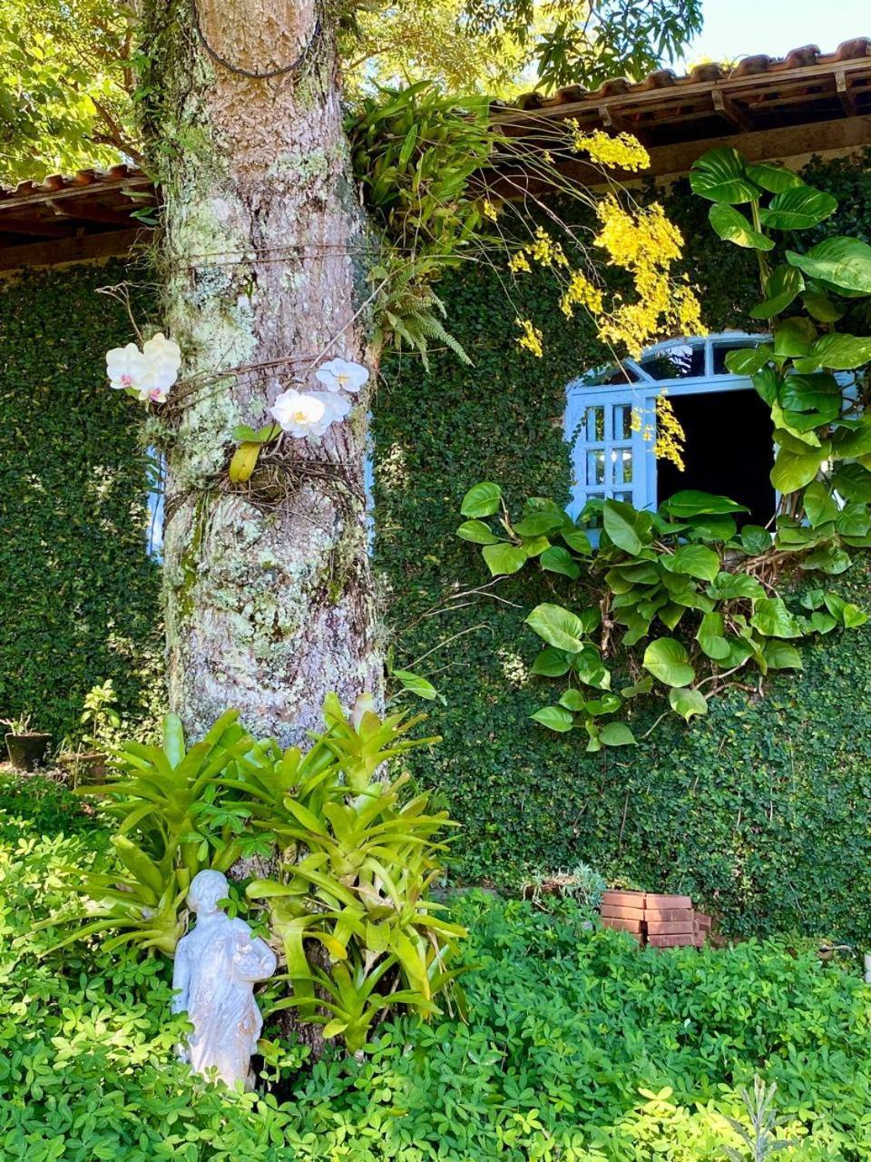 Pousada Casa Do Ipe Amarelo Miguel Pereira Dış mekan fotoğraf