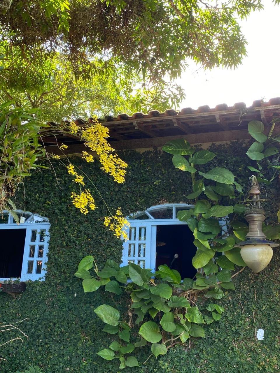 Pousada Casa Do Ipe Amarelo Miguel Pereira Dış mekan fotoğraf